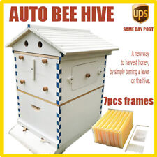 White Auto Flow Langstroth Bee Hive Boxes Bee Hives Beehive Beekeeping Hives Box