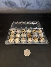 20 Fertile Coturnix Quail Hatching Eggs