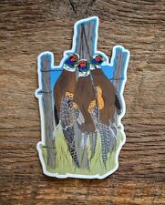 Pheasant Hunting Sticker Decal Upland Hunting Bird Dogs Pheasant Hunt Pointers