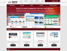  Established Website Selling Business Script