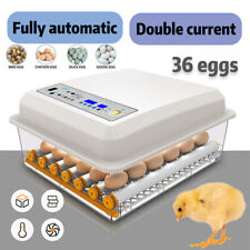 36 Egg Incubator Automatic Chicken Quail Chick Hatcher Incubators For Hatching
