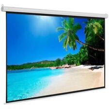 100 43 Manual Projector Screen For Home Theater 160 Degrees Viewing Angle