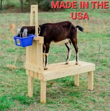 Goat Hoof Milk Stand For Dwarf And Pygmy Goats 32 Hand-crafted Natural Pine