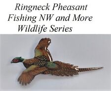 1 Ringneck Pheasant - Wildlife - Series