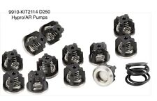 9910-kit2114 D250 Valve Kit Hypro Ar Pumps