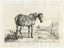 Antique Master Print-landscape-horse-fence-de Noter-1831