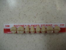 Dentsply Denture Teeth Biotone Blended 33 Upper Posterior 34m77p Clearance