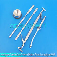 Odm Dental Instruments Amalgam Well Amagam Carrier Gun Cement Spatulas Kit
