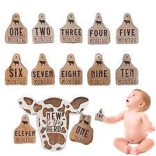 13 Pcs Cow Milestone Cards Babies Wooden Monthly Milestone Cow Tags