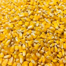 Shelled Corn Animal Feed Arts Crafts Choose Size Free Shipping