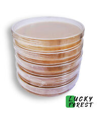 5x Sterile Agar Petri Dishes Plates Mya - Petri Dish Mushroom Grow Medium Myc