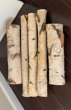 Birch Log Bundle Set Of 5 Assorted Lengths Great For Rustic Holiday Wedding