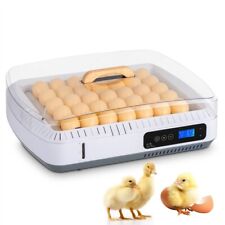 Premium 35-egg Incubator With Automatic Turning Temperature Control