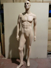 Mannequin Doll Fashion Doll Male 11118 Man Doll Bust