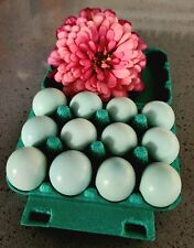 12 Celadon Coturnix Japanese Quail Hatching Eggs Jumbos In The Genes