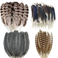 40pcs Natural Turkey Feathers Spotted Large Natural Pheasant Feathers