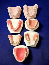Vintage Lot Of 7 Dental Study Models For Teaching Study Demo