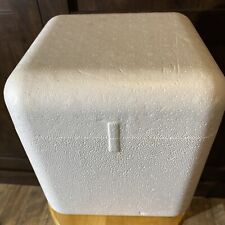 Insulated Styrofoam Shipping Cooler Foam Container 10 X 10 X 12 Outside Measure