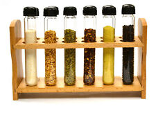 Hand Made Test Tube Spice Rack Wooden Rack With 12 Borosilicate Test Tubes
