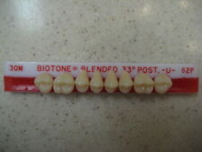 Dentsply Denture Teeth Biotone Blended 33 Upper Posterior 30m62p Clearance