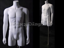 Male Mannequin Torso With Nice Body Figure And Arms Tmw Md