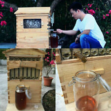 7pcs Free Flowing Honey Hive Beehive Frames Beehive House Cedarwood Box Set Us
