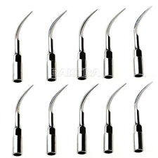 10 X Dental Ultrasonic Scaler Perio Scaling Tip P1 For Emswoodpecker Handpiece