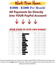Instant Cash Solution Turnkey Internet Business Website Be Your Own Boss