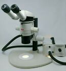 Leica Microscope Mz6 With Tilting Head And Illuminator