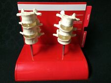 Vintage Evista Spine Compression Fracture Anatomical Model Vertebrae Vertebral
