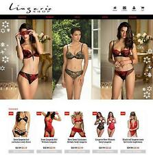 Established Profitable Lingerie Store Turnkey Dropship Website Business For Sale