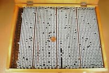 Vintage Japanese Chinese Kanji Metal Letterpress Printing Blocks 15 34 Lbs
