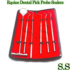 6 Pcs Equine Dental Pick Probe Scalers Veterinary Instruments New Kit