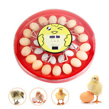 Automatic Egg Incubator30 Eggs Digita Mini Automatic Incubatores Usa