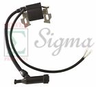 Ignition Coil For Coleman Powermate Proforce Generator Pressure Washer 0063091