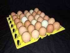Egg Tray Chicken Incubator Hatching 30 Hole Egg Tray Was 30 Plastic Stackable