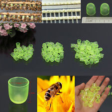 300pcs Beekeeping Cell Cups Royal Jelly Cups Set Queen Bee Rearing Equipment