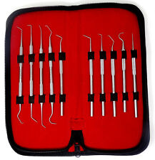 Personal Hygiene Set Dentist Tools Tarter Remover Dental Tooth Pick With Case