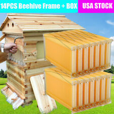 14pc Free Flowing Honey Hive Beehive Frames Unique Beehive House Cedarwood Box