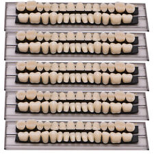 140pc5 Set Dental 23 Shade A2 Acrylic Resin Denture Full Set Teeth Upper Lower