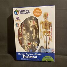 Model Skeleton Anatomical Human Anatomy Medical Stand Skull Quality Teaching Nib