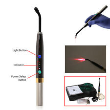 Dental Diode Laser Wireless Heal Laser Pen Oral Surgery Soft Tissue Lamp Ce Rjg