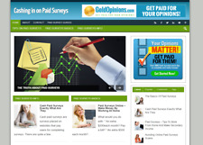 Cash In On Paid Surveys Website With Affiliates Make Money From Home