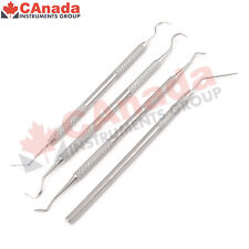 Professional Dental Scaler Pick Stainless Steel Tool Set 4 Pieces Pr 0077
