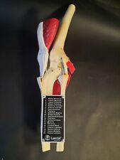 Laerdal Knee Vintage Medical Plastics Laboratory Anatomical Model