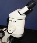 Leica Mz8 Stereozoom Microscope