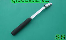 Equine Dental Float Rasp Down Flat Handle Veterinary Instruments
