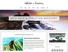 Recovery Amp Addiction Store Blog Website Business For Sale With Auto Content