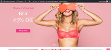 Adult Lingerie Ecommerce Dropship Store Online Business Turnkey Website