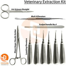 Dental Veterinary Extarction Elevators Luxating Surgical Oral Surgery Instrument